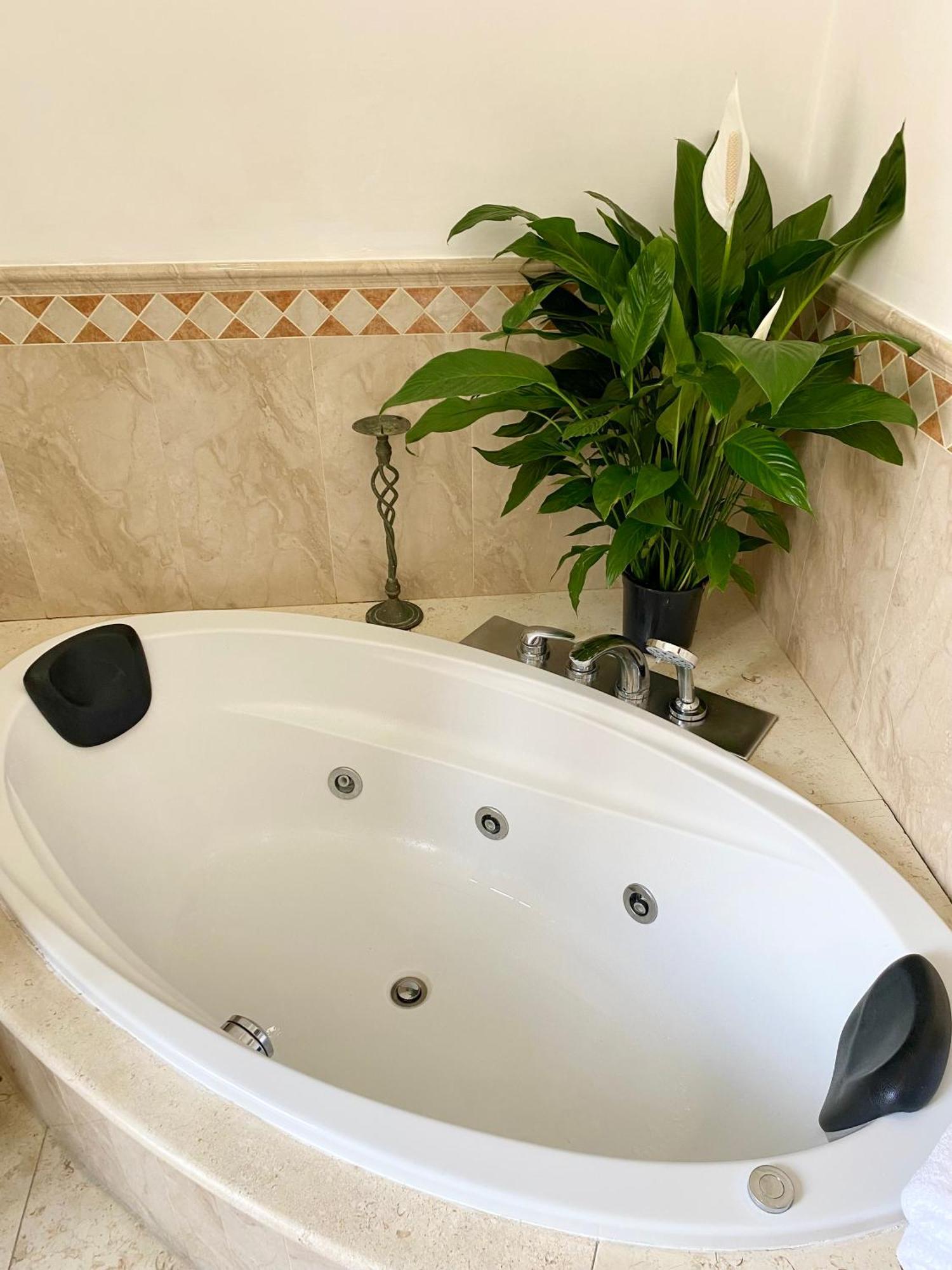 Appartamento Casa Intera Con Terrazzo Napoli